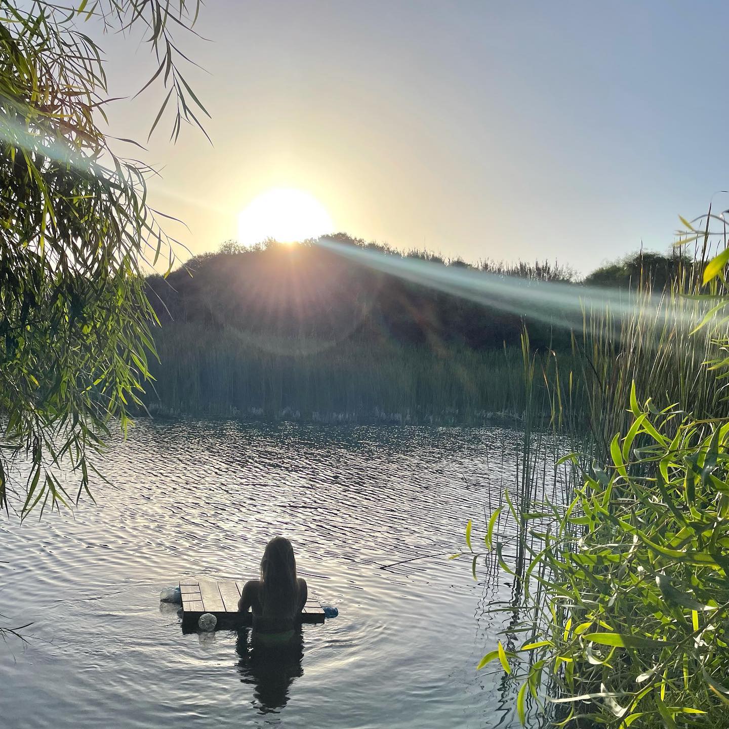 liad.arazi instagram image archive image