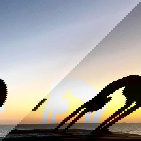 liad.arazi image ~ Altpins