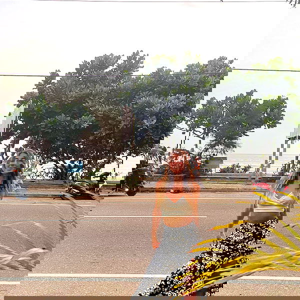 liad.arazi image ~ Altpins