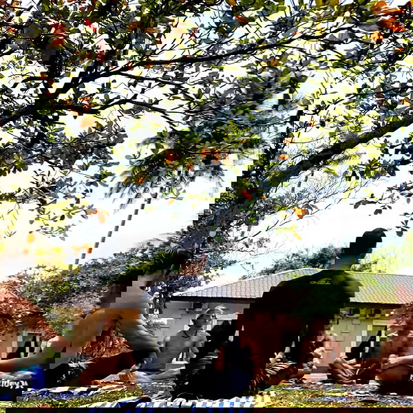 liad.arazi image ~ Altpins