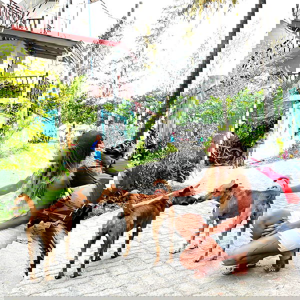 liad.arazi image ~ Altpins