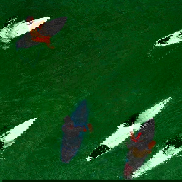 liad.arazi image ~ Altpins