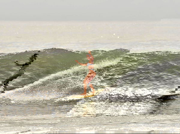 liad.arazi image ~ Altpins