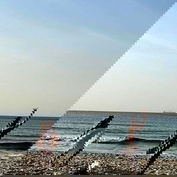 liad.arazi image ~ Altpins