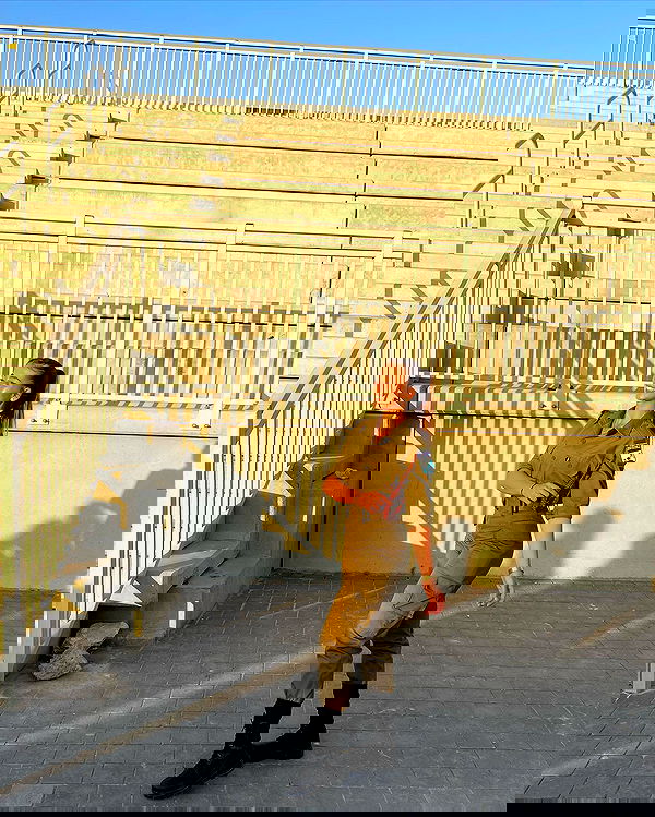 liad.arazi image ~ Altpins