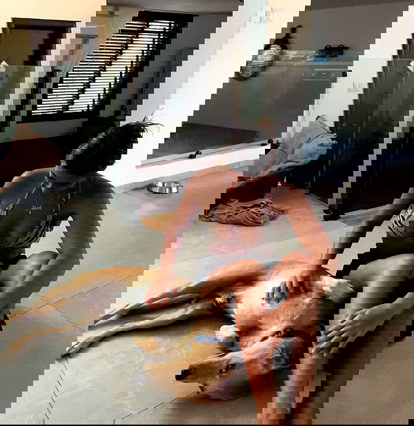 liad.arazi image ~ Altpins