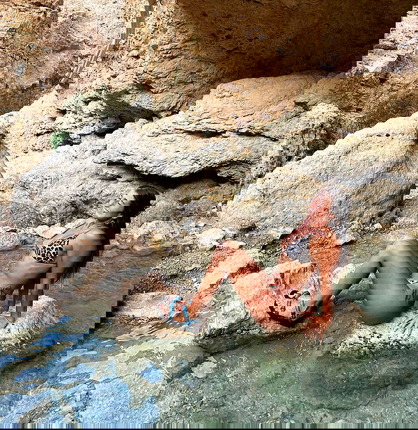 liad.arazi image ~ Altpins