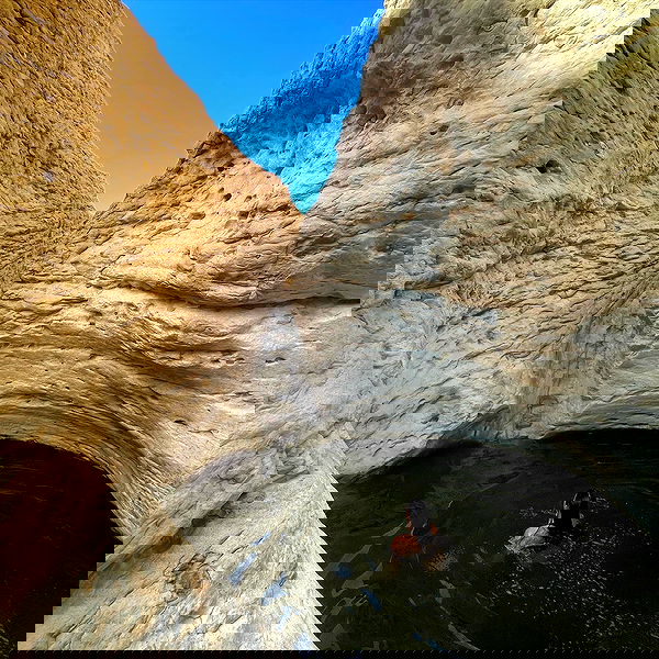 liad.arazi image ~ Altpins