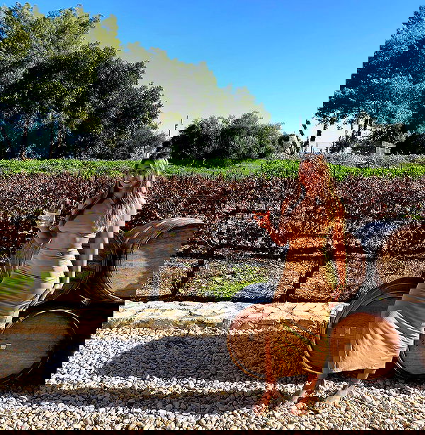 liad.arazi image ~ Altpins