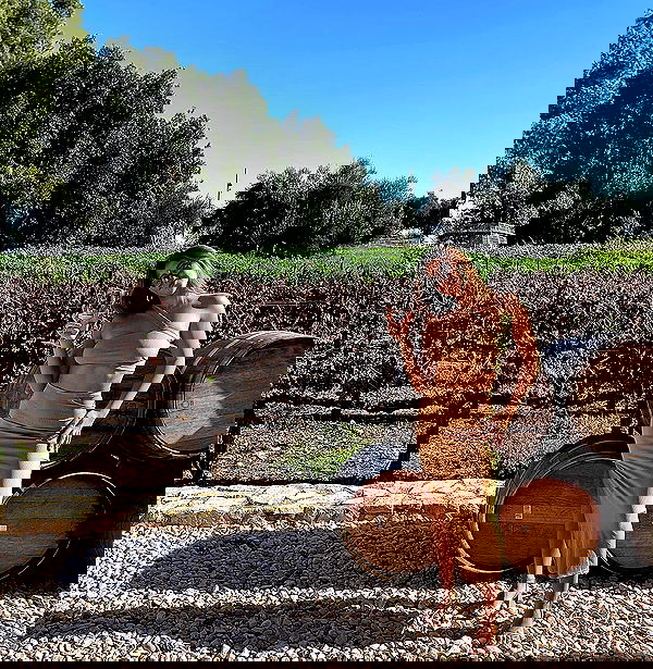 liad.arazi image ~ Altpins