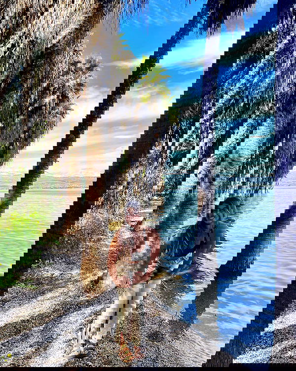 liad.arazi image ~ Altpins