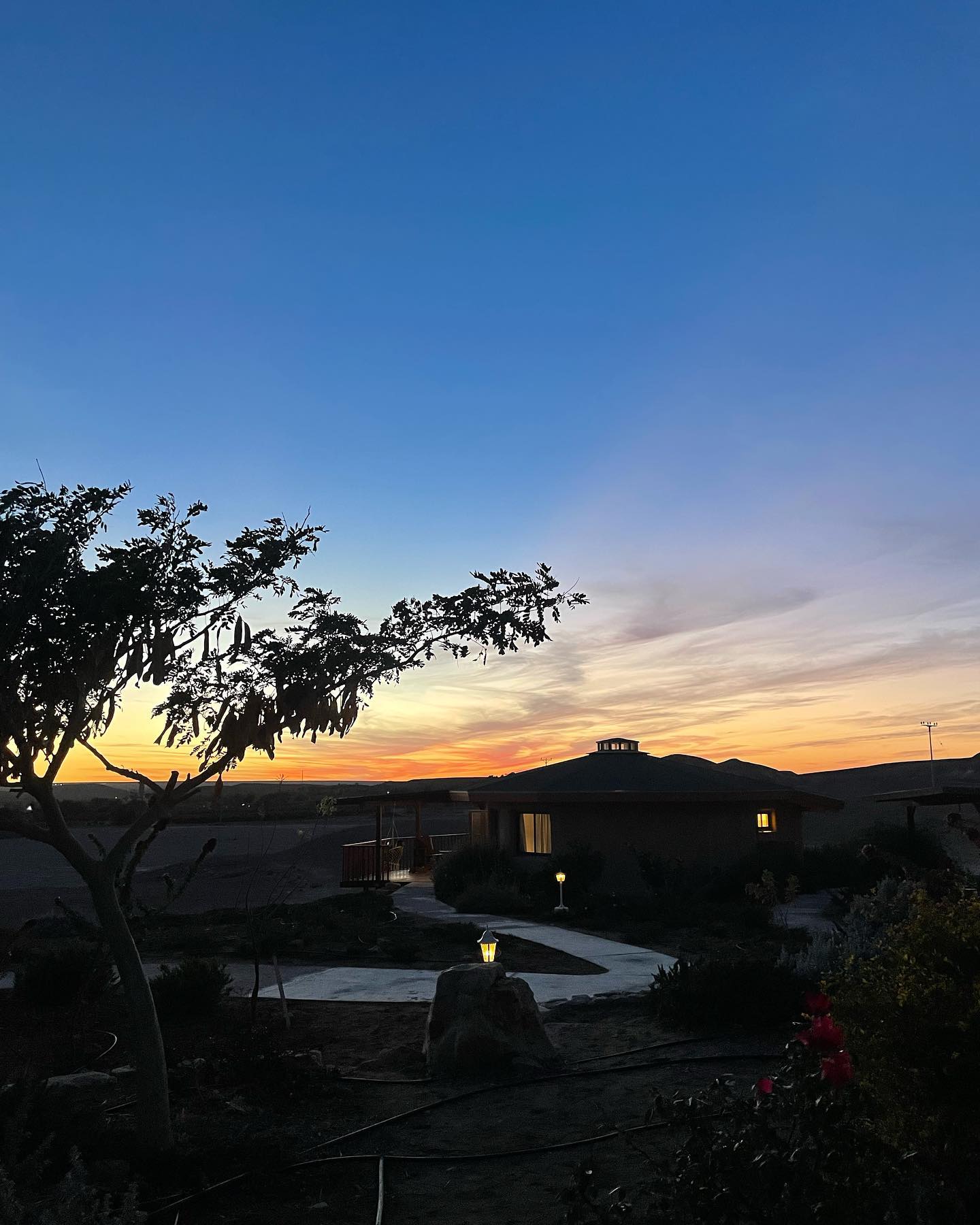 liad.arazi instagram image archive image