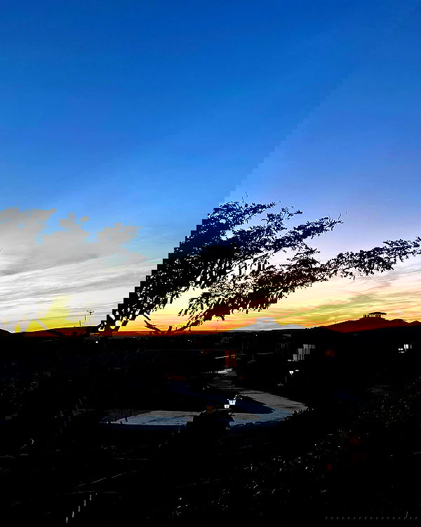 liad.arazi image ~ Altpins