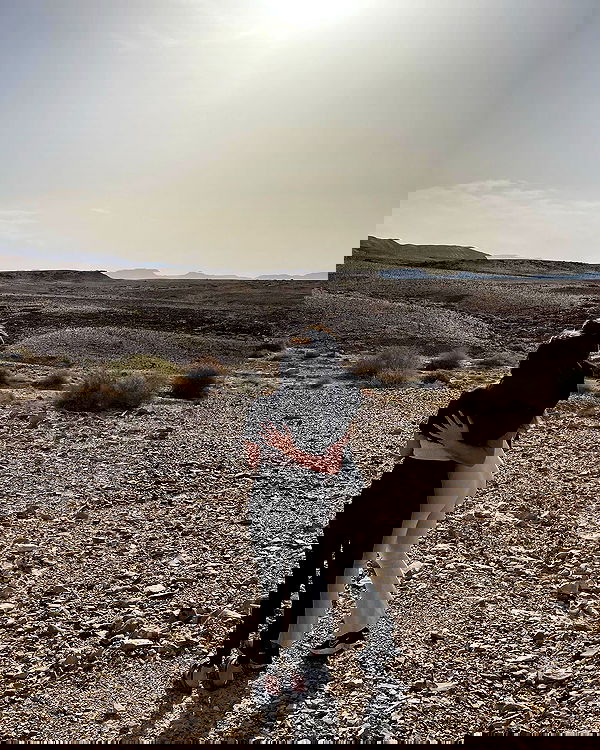 liad.arazi image ~ Altpins