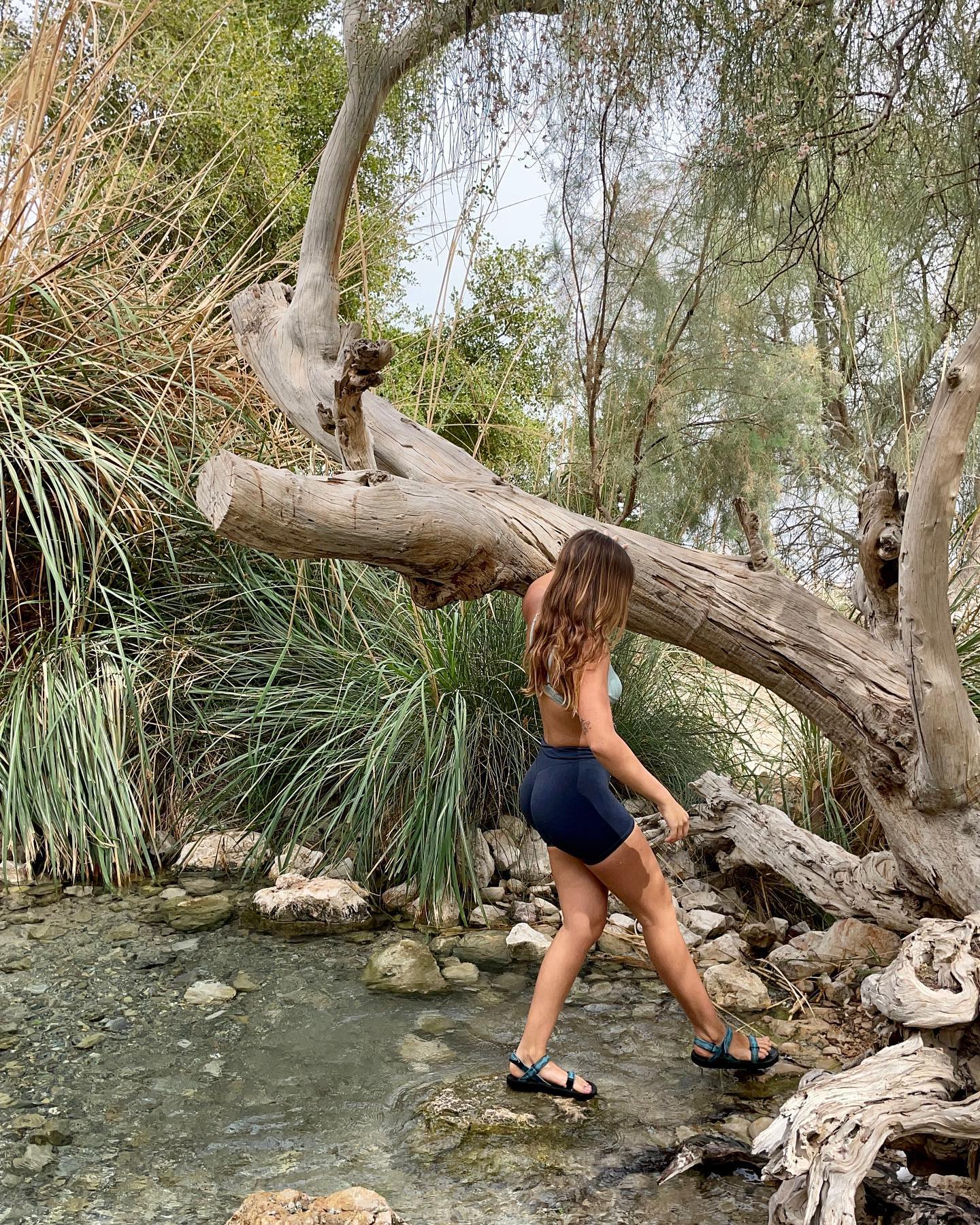 liad.arazi instagram image archive image