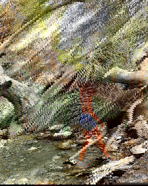 liad.arazi image ~ Altpins