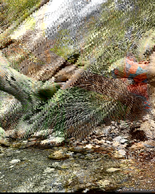 liad.arazi image ~ Altpins