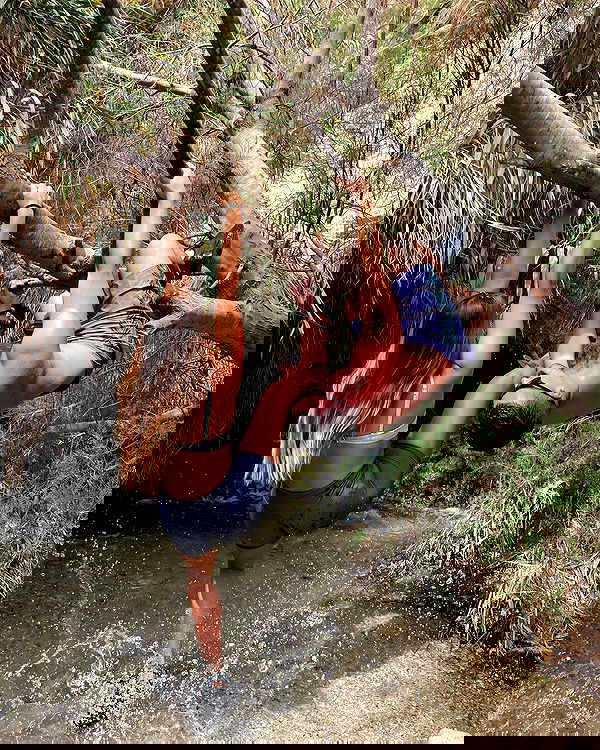 liad.arazi image ~ Altpins