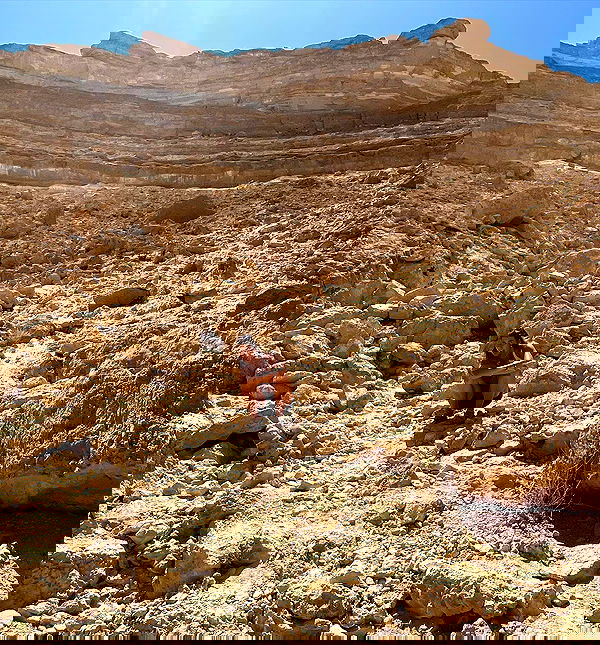 liad.arazi image ~ Altpins