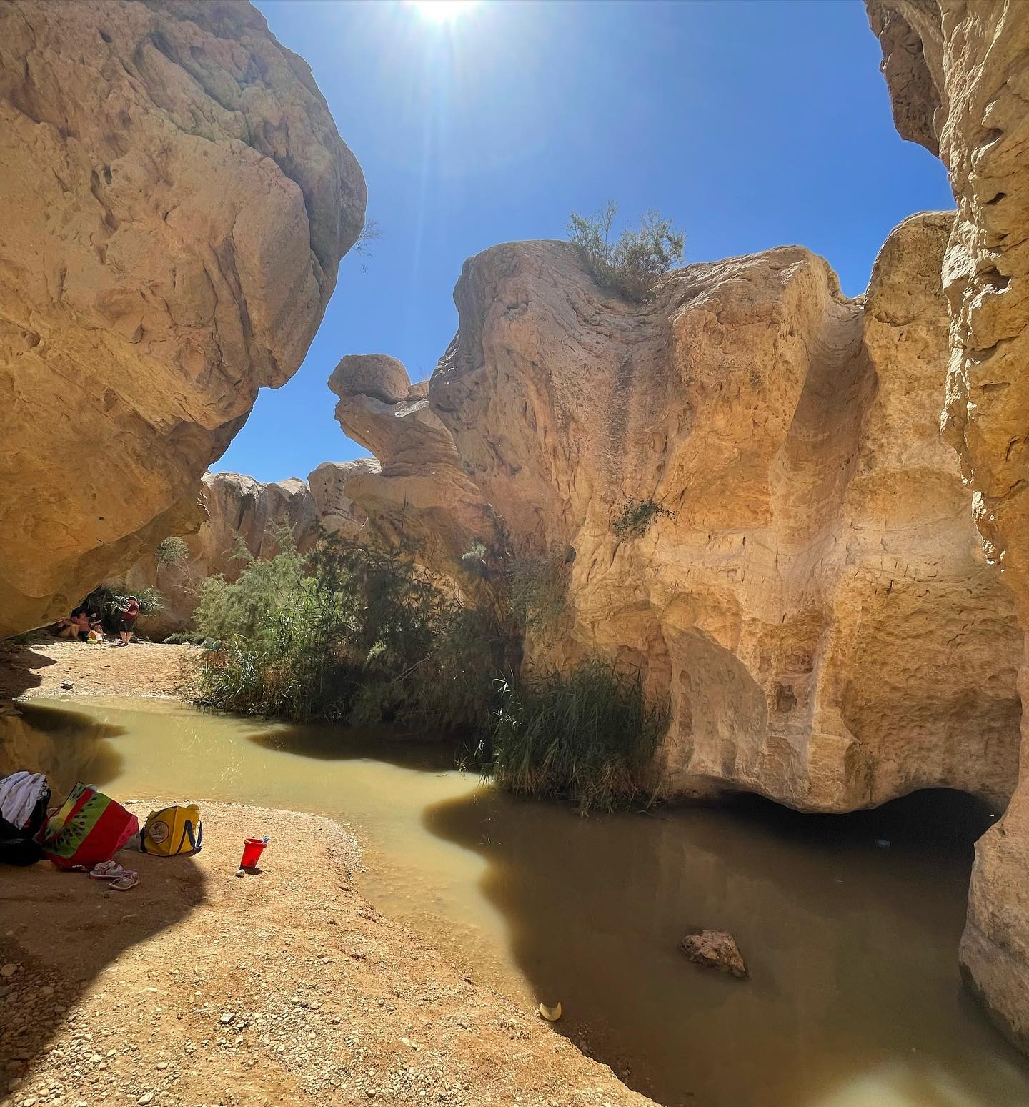 liad.arazi instagram image archive image