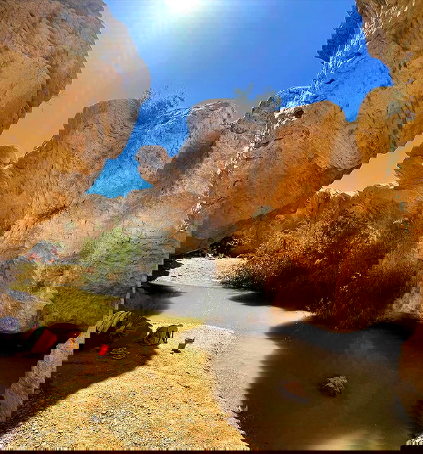 liad.arazi image ~ Altpins