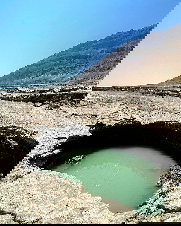 liad.arazi image ~ Altpins