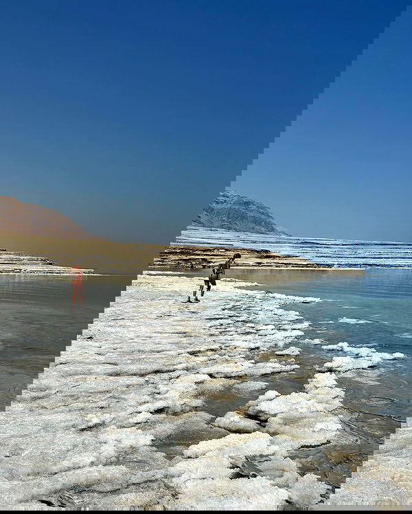 liad.arazi image ~ Altpins