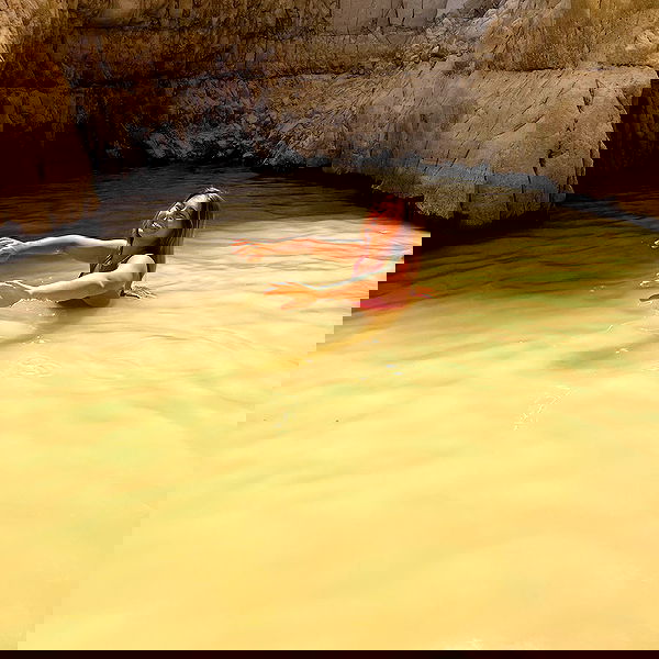 liad.arazi image ~ Altpins