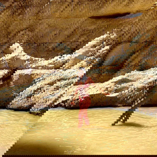 liad.arazi image ~ Altpins