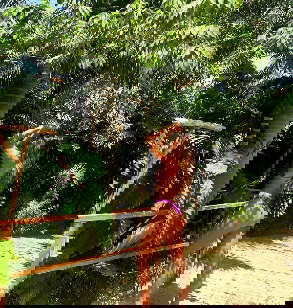 liad.arazi image ~ Altpins