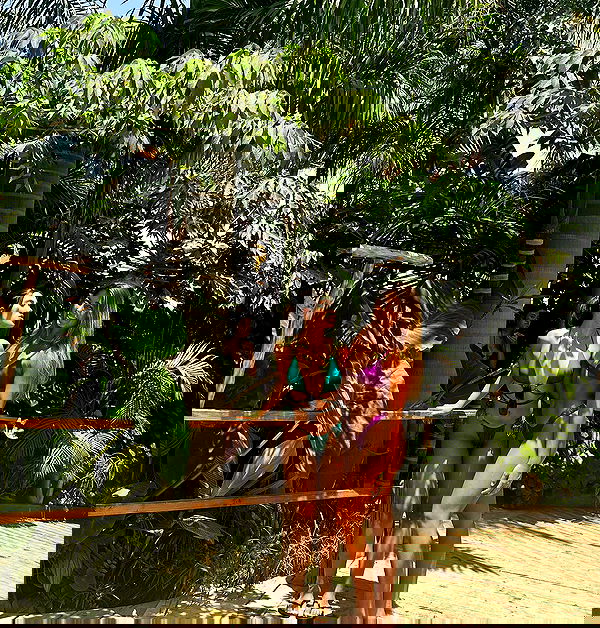 liad.arazi image ~ Altpins