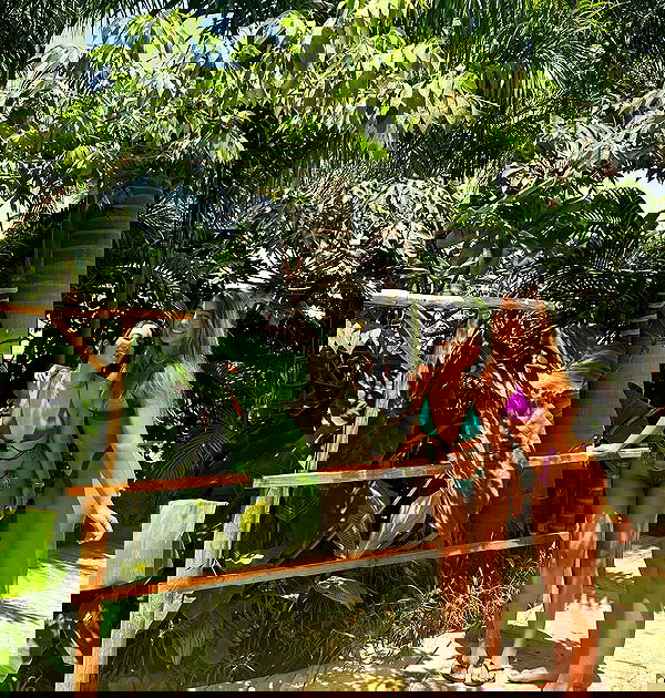 liad.arazi image ~ Altpins