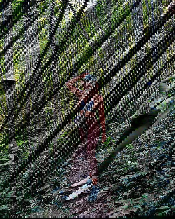 liad.arazi image ~ Altpins