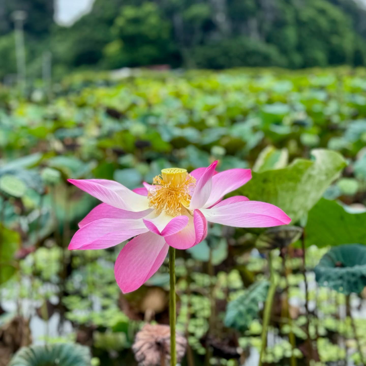 liad.arazi instagram image archive image