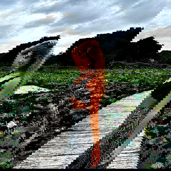 liad.arazi image ~ Altpins