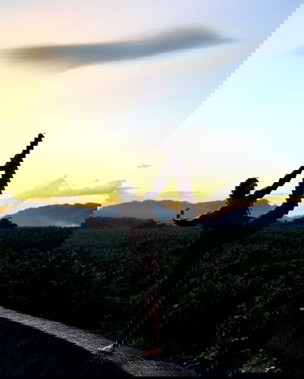 liad.arazi image ~ Altpins