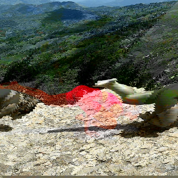 liad.arazi image ~ Altpins