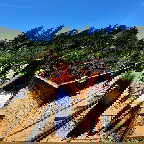 liad.arazi image ~ Altpins