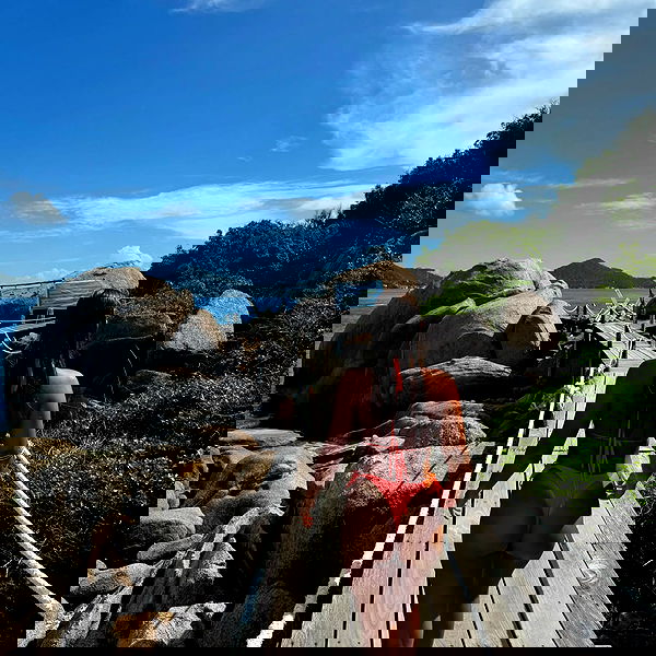 liad.arazi image ~ Altpins