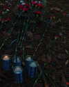 lianzichell Altpins Profile Picture
