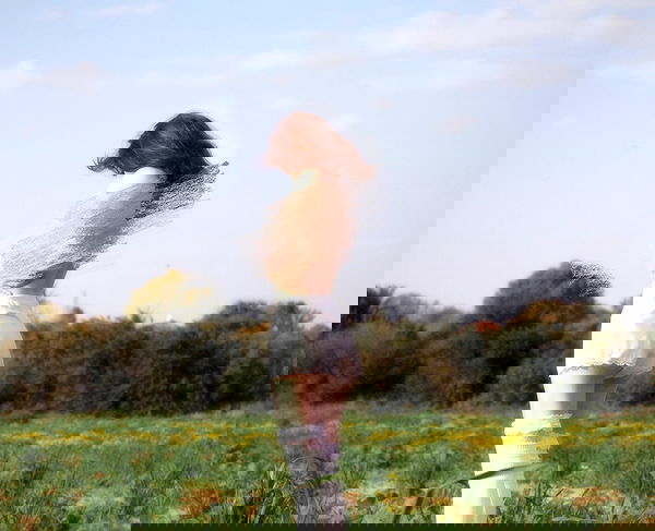 liashaked liashaked archive image