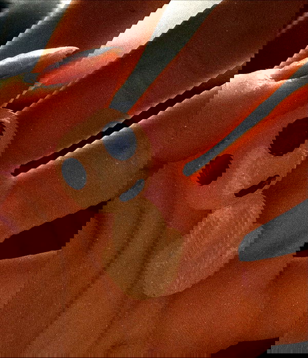 liashaked liashaked archive image