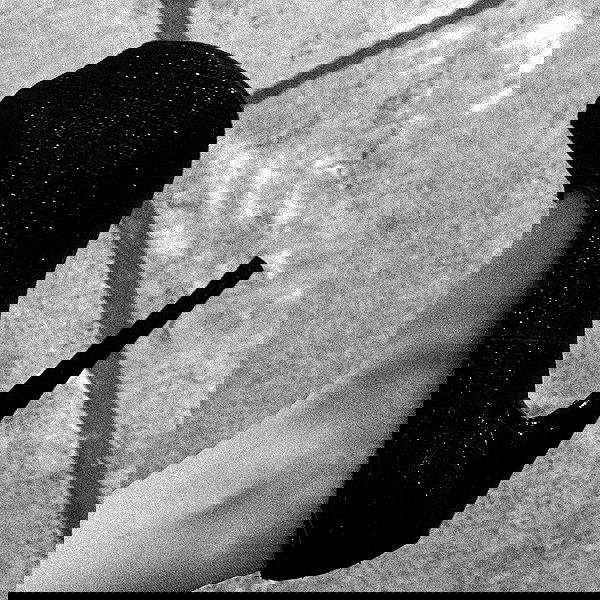 liashaked liashaked archive image