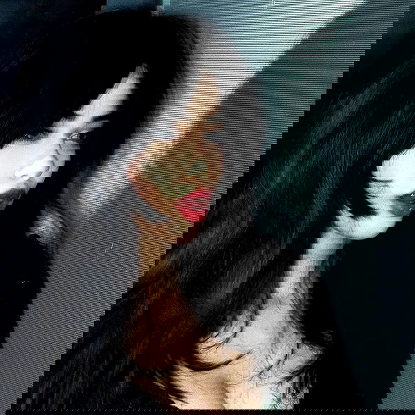 liashaked liashaked archive image