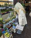 libbycannon_ Altpins Profile Picture
