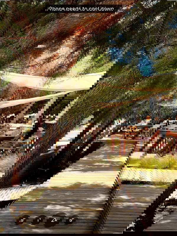 lielmazor_ image ~ Altpins