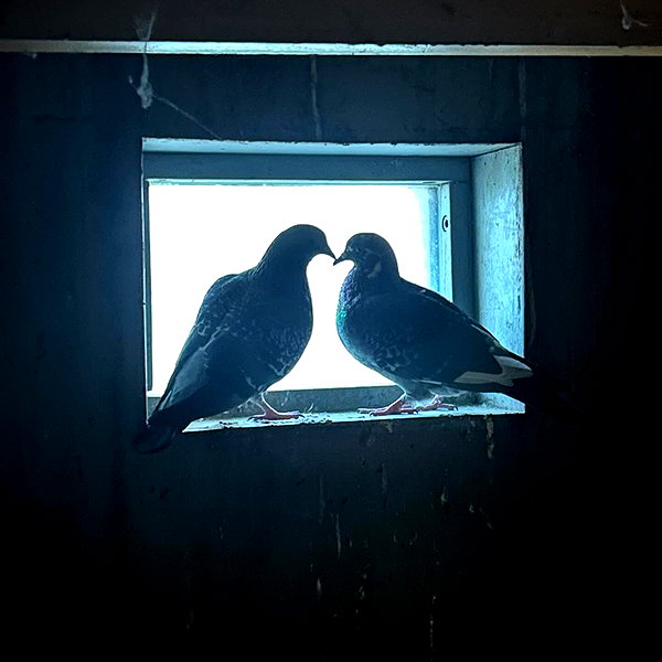 liem_sadan instagram image archive image