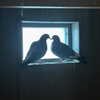 liem_sadan Altpins Profile Picture