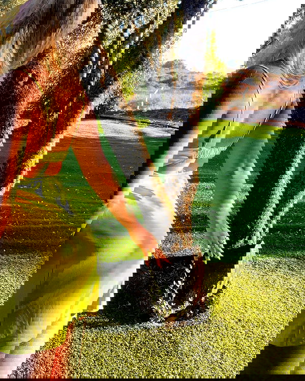 lihi.stoller lihi.stoller archive image