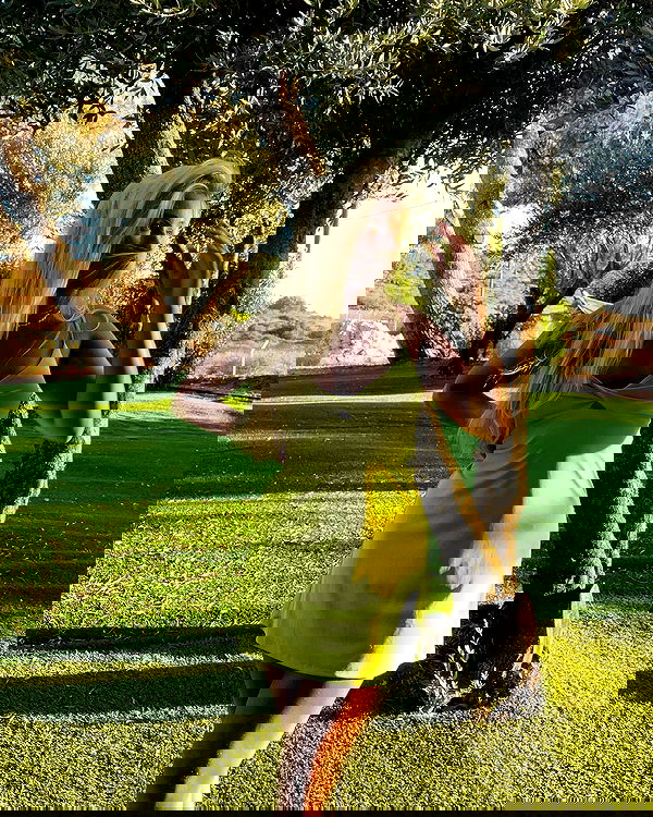 lihi.stoller lihi.stoller archive image